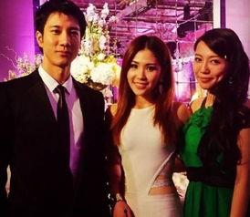 不干了 王力宏老婆为什么要撕王力宏,老婆为何撕破脸皮？